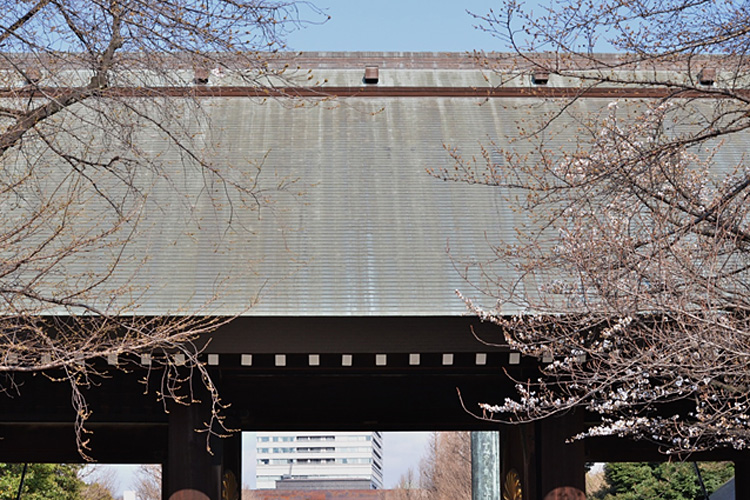 門の屋根を覆うように咲きほこる桜・・・