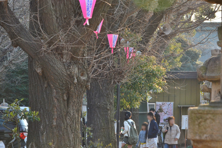 千代田のさくらまつりが開催されます