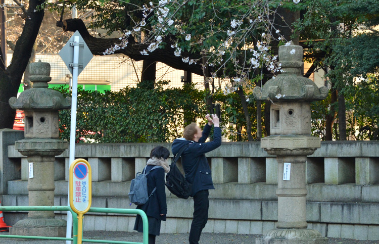 こんな風景も多く見られます