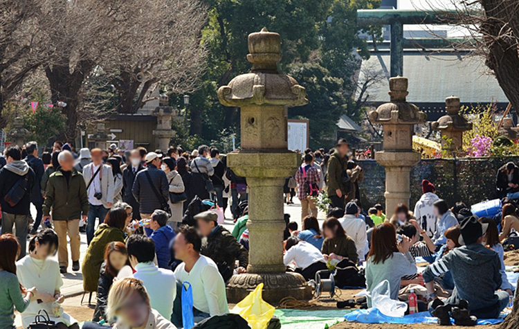 普段の参道とはうって変わってこの賑わい。