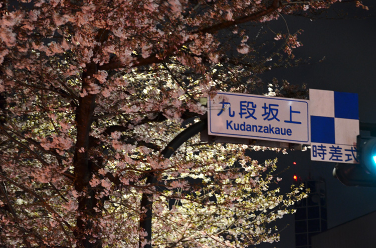 こちらは花田店舗に一番近いところにある桜の木
