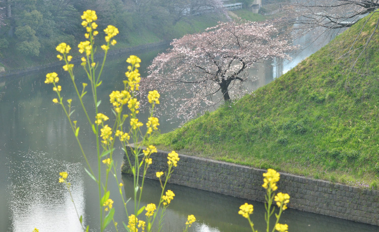 朝の静かな風景