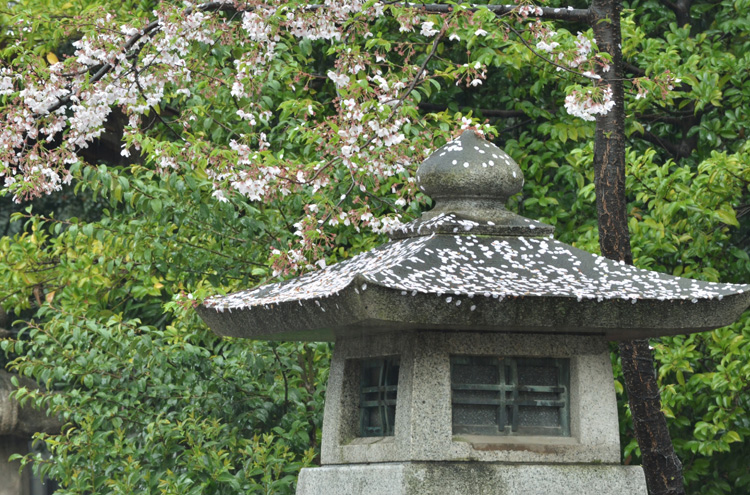 雨にぬれた木々や灯篭