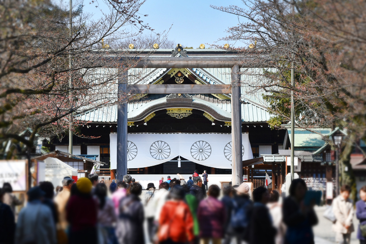 千鳥ヶ淵の桜情報