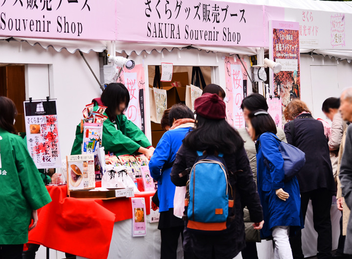 千鳥ヶ淵の桜情報