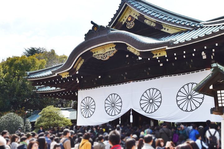 千鳥ヶ淵の桜情報