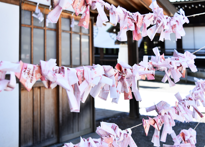 千鳥ヶ淵の桜情報