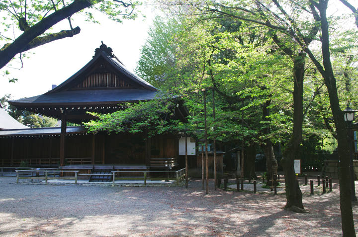 千鳥ヶ淵の桜情報