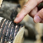 うるわしの漆 浄法寺のうるし