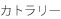 大きいお皿