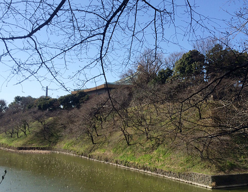 和食器 陶器 磁器 ガラス その他 の専門店 暮らしのうつわ 花田