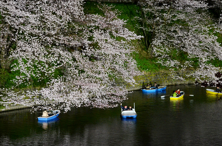 お堀ではお花見の時期限定の夜桜ボートも大人気。