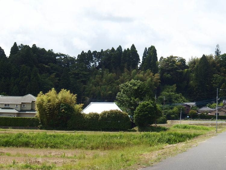 鈴木重孝インタビュー