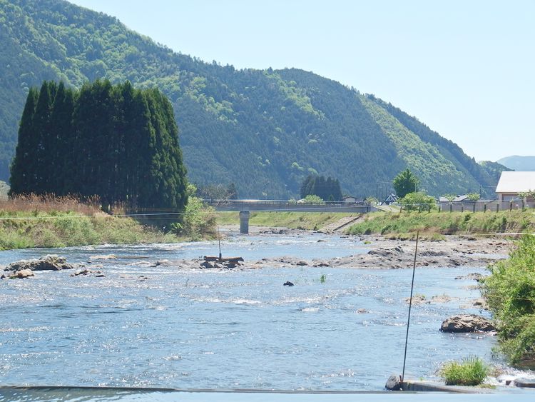 杉本太郎インタビュー