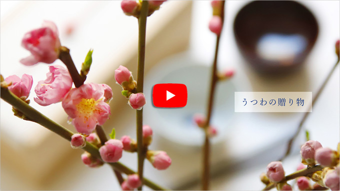 うつわの贈り物