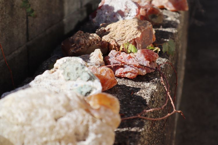 三輪周太郎さん 作者インタビュー2024