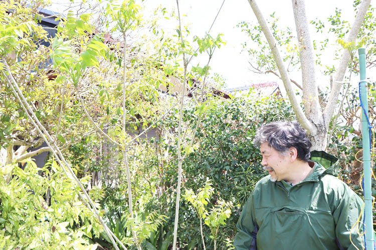 【作家物・未使用】漆芸家 土井宏友さん　漆器4点セット　漆器 民芸 入手困難 土井宏友さん 作者インタビュー2024 | 暮らしのうつわ花田