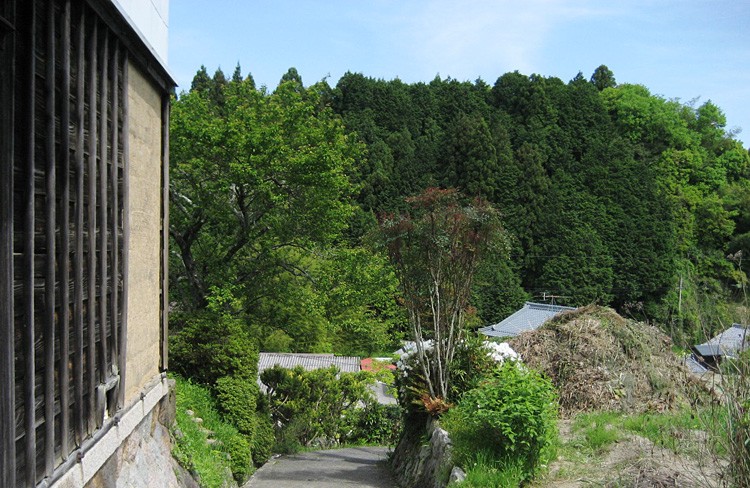 杉本寿樹
