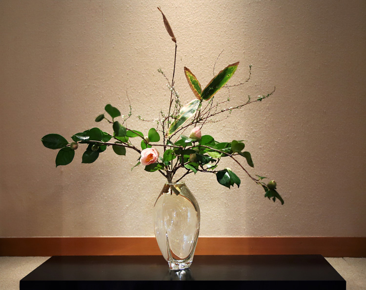 人気のクリスマスアイテムがいっぱい！ ガラス花器 - 花瓶 - madmex.co.nz