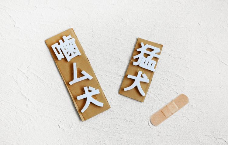 水垣千悦×野口悦士 二人展