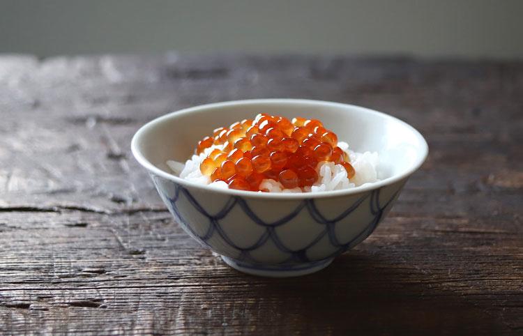 染附菊網文飯碗 小