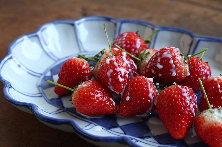 正木春蔵｜暮らしのうつわ 花田 作家もの和食器（陶器 磁器 ガラス 漆