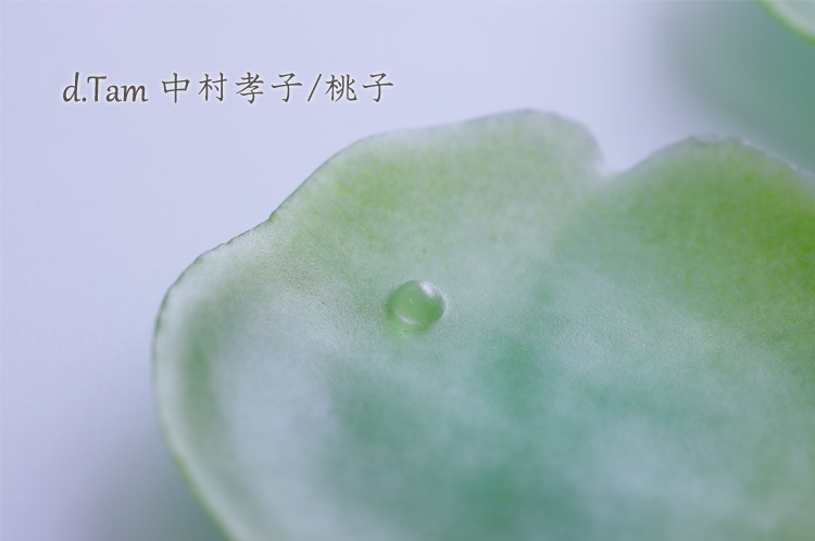momoko中村孝子さんのガラス豆皿5種 momoko中村孝子さんのガラス豆皿5種 中村孝子さんのガラス豆皿5