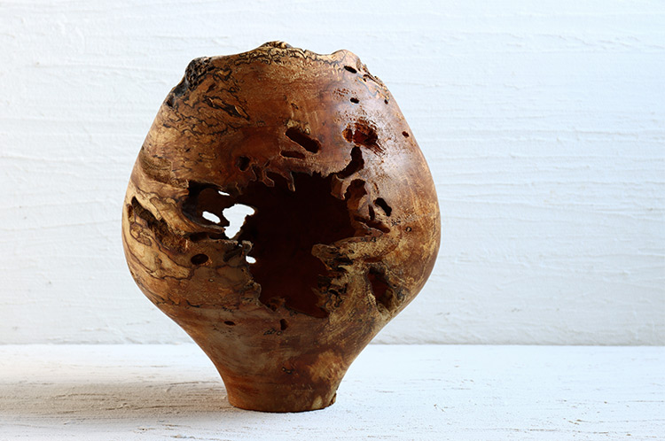 29 オブジェクト ヤシャブシ/オイル（飯田慎一）