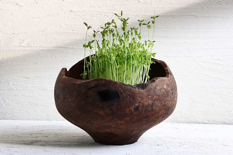 iida wood turnin 作家 木 器 コンポート 小物入れ iida wood turnin 作家 木 器 コンポート 小物入れ - メルカリ