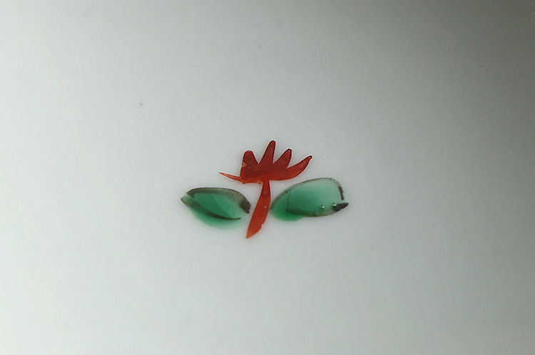 色絵染附 赤花文小鉢