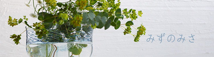 みずのみさ