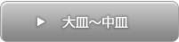 大皿～中皿